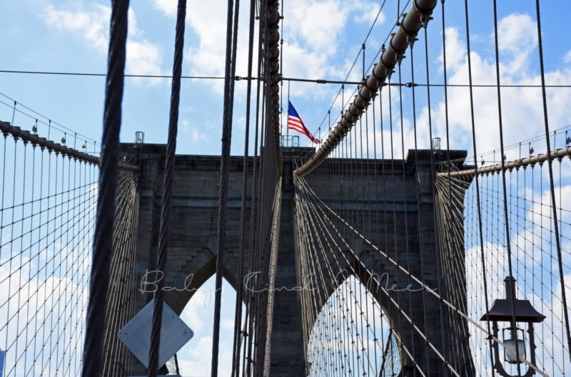 Brooklyn Bridge (6)