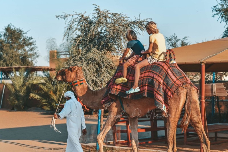 Dubai Urlaub mit Kindern babykindundmeer 42