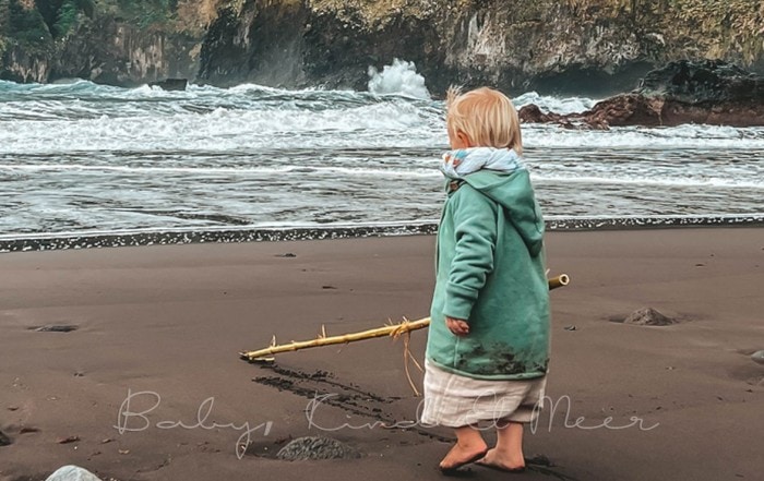 Madeira babykindundmeer auswandern 50